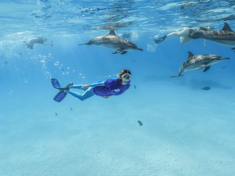 Explora II Conservatoire